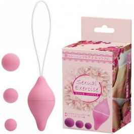   Loveshop Sexual Exercise, Pink (810214)