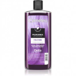   Delia Cosmetics Cameleo Flower Water тонуюча фарба для волосся відтінок Violet 200 мл