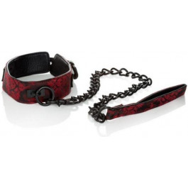   California Exotic Novelties Scandal Collar with Leash (716770077042)