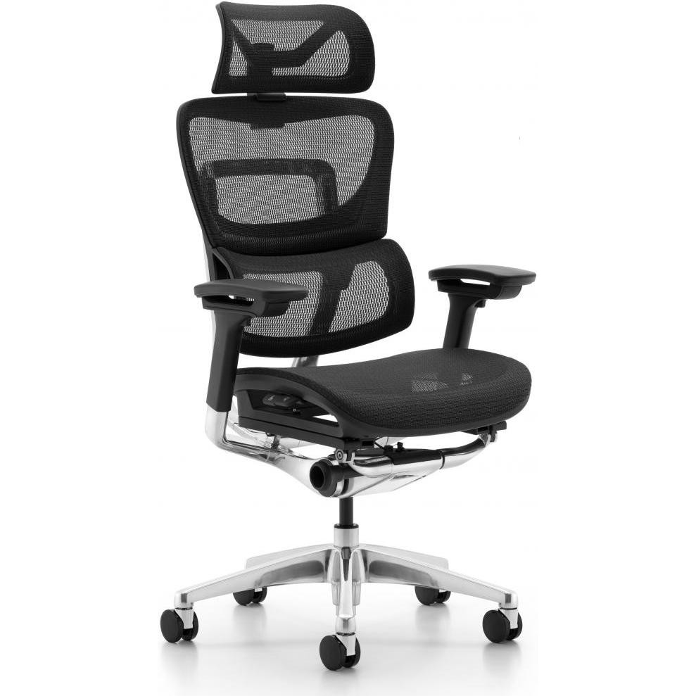 ADAPWORK L1 Mesh Lead Ergochair чорний - зображення 1