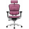 Comfort Seating ERGOHUMAN LUXURY 2 Pink - зображення 1