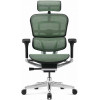 Comfort Seating ERGOHUMAN LUXURY 2 Green - зображення 1