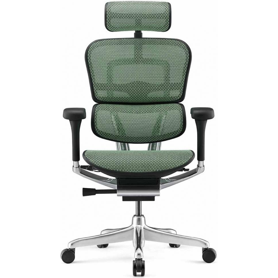 Comfort Seating ERGOHUMAN LUXURY 2 Green - зображення 1