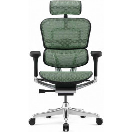   Comfort Seating ERGOHUMAN LUXURY 2 Green