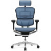 Comfort Seating ERGOHUMAN LUXURY 2 Cobalt - зображення 1