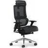 ADAPWORK L4 Lead ErgoChair Чорний - зображення 1