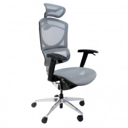   GTCHAIR I-See grey