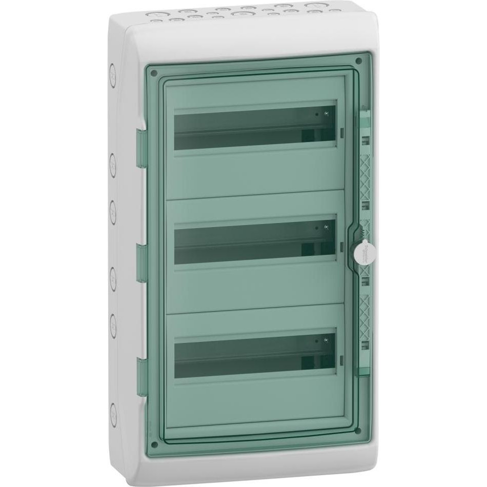 Schneider Electric Щит накладной на 36 модулей (3х12) Kaedra IP65 (13985) - зображення 1