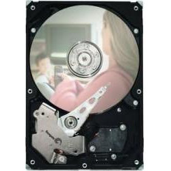   Seagate ST500VM000