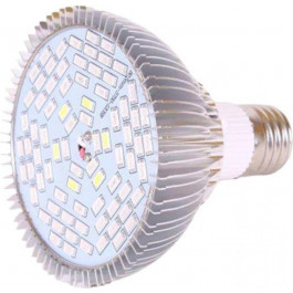   Venom LED 50W SMD 5730 220В (FL-P-010-50)