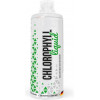 MST Nutrition Натуральная добавка  Chlorophyll Liquid, 1 л - зображення 1