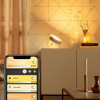 Philips Hue Iris 2000K-6500K Color Bluetooth Gold (929002376401) - зображення 2