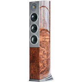   Audiovector R8 Arrete Italian Walnut Burl Piano