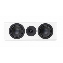   System Audio SA legend 10.2 Silverback White Satin