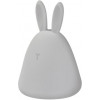 LEDVANCE Rabbit 2.5W USB RGBW (4058075602113) - зображення 4