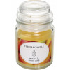 Feroma Candle Свічка Арома Банку Mango Fruit (4820211050184) - зображення 1