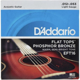   D'Addario EFT16