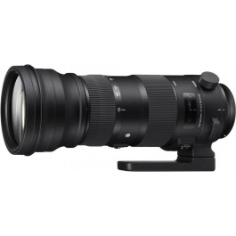   Sigma AF 150-600mm f/5-6,3 DG OS HSM S (740)