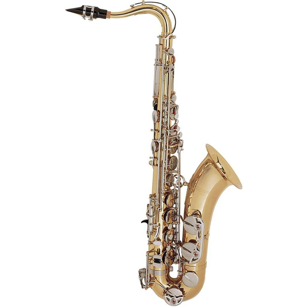 Selmer AS500 - зображення 1