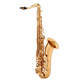   Selmer TS650