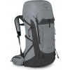 Osprey Talon Pro 40 / L/XL Silver Lining (10005880) - зображення 1