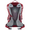 Deuter Futura 24 / cranberry-maron (3400118-5528) - зображення 2