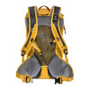 Deuter Race Air / curry-ivy (3207218-9203) - зображення 2