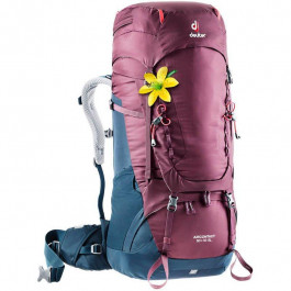   Deuter Aircontact 50 + 10 SL / blackberry-navy (3320219-5326)