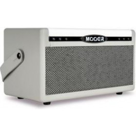   Mooer Hornet 30i