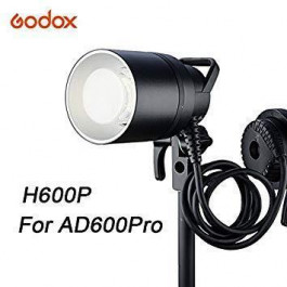   Godox AD600 Pro