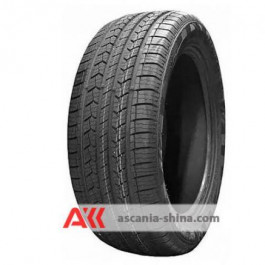   DoubleStar DS01 (255/55R20 110V)