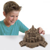 Wacky-tivities Kinetic Sand Beach Натуральный цвет (71435) - зображення 2