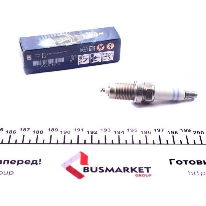 Bosch 242236565 - зображення 1