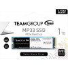 TEAM MP33 1 TB (TM8FP6001T0C101) - зображення 1