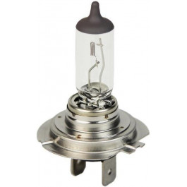   Osram H7 12V 55W (64210SUP)