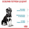 Royal Canin Maxi Puppy 4 кг (30060401) - зображення 5