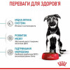 Royal Canin Maxi Puppy 4 кг (30060401) - зображення 6