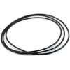 Pro-Ject DRIVE BELT (RPM 10 Carbon,SIGNATURE 10) - зображення 1