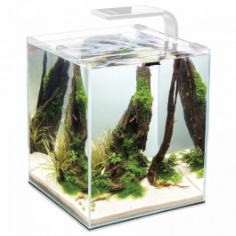   Aquael SHRIMP SET DAY&NIGHT 10 White (122977)