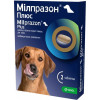KRKA Таблетки для собак  Мілпразон ПЛЮС 2х12.5 мг / 125 мг (3838989738006) - зображення 1