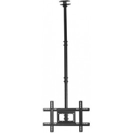   iTech Celb-54N