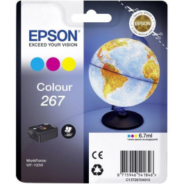   Epson C13T26704010