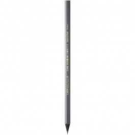   BIC Олівець чорнографітних  Evolution Black 650, HB, 1 шт. (896016)