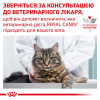 Royal Canin Skin&Coat 85 г (4092001) - зображення 9