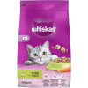 Whiskas Сухой корм для взрослых кошек с ягненком 300 г (5900951014086) - зображення 1