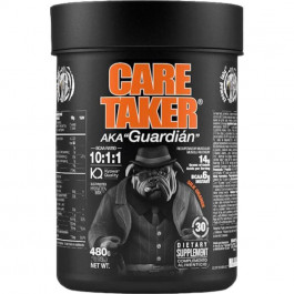   Zoomad Labs Caretaker BCAAs 10:1:1 480 g /30 servings/ Silk Orange