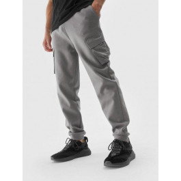   4F Спортивні штани чоловічі  Trousers Cas M446 4FAW23TTROM446-25S L Сірі (5904698491643)