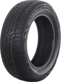   DoubleStar DW08 (195/60R15 88T)