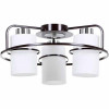 Accento Lighting Люстра потолочная  Normandia ALPL-PL17108-3 3x60 Вт E27 венге - зображення 1