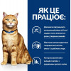 Hill's Prescription Diet Feline c/d Multicare Urinary Care Chicken 3 кг (605890) - зображення 4